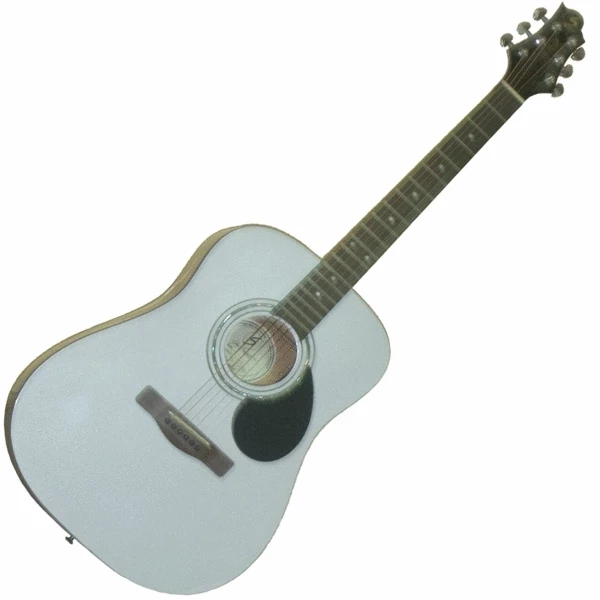 Акустическая гитара GREG BENNETT D1 PW