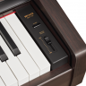 Becker BAP-62R цифровое пианино