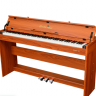 Цифровое фортепиано EMILY PIANO D-52 BR