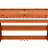Цифровое фортепиано EMILY PIANO D-52 BR