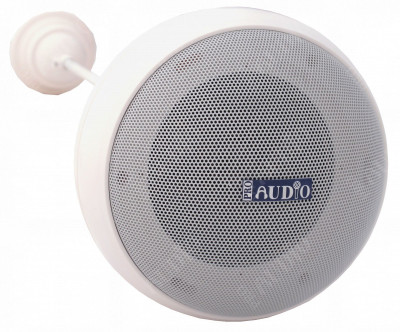Подвесной громкоговоритель PROAUDIO BS-10