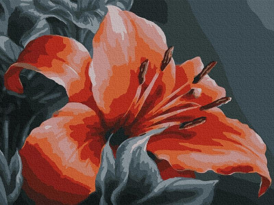 Картина по номерам с цв. схемой на холсте 30х40 ОРАНЖЕВАЯ ЛИЛИЯ (16 цветов)