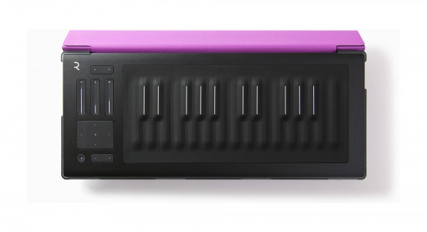 ROLI FLIPCASE LILAC защитный кейс для RISE 25