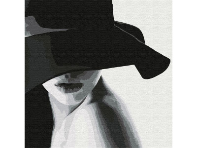 Картина по номерам 30х30 НЕЗНАКОМКА (12 цветов)