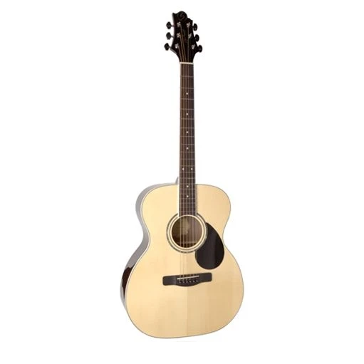 Акустическая гитара GREG BENNETT GOM100S N