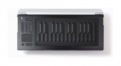 ROLI FLIPCASE SILVER защитный кейс для RISE 25