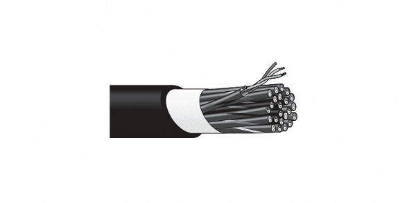 Мультикабель Canare MR202-12AT 12 каналов