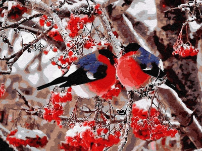 Картина по номерам 40х50 Снегири (24 цвета)