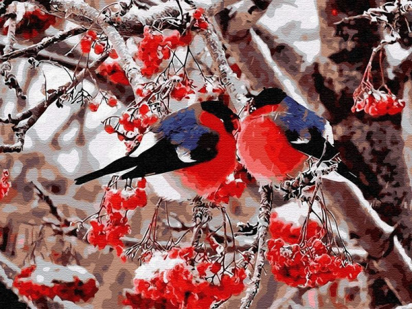 Картина по номерам 40х50 Снегири (24 цвета) №2