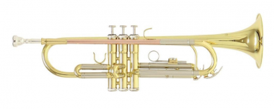 Труба Roy Benson TR-202 Bb