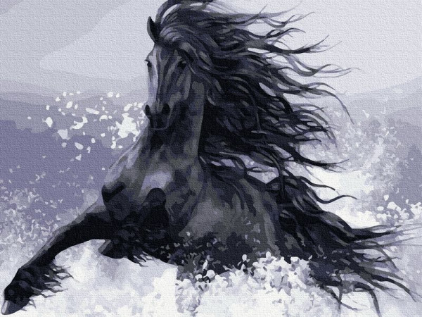 Картина по номерам 40х50 КОНЬ ВОРОНОЙ (17 цветов)