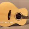 Flight AG-210 NA акустическая гитара