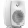 Монитор ближнего поля Genelec 8030CW активный 2-полосный