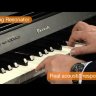 Casio Privia PX-860BN цифровое пианино
