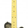 Электрогитара PIGNOSE PGG-200PL PKPL