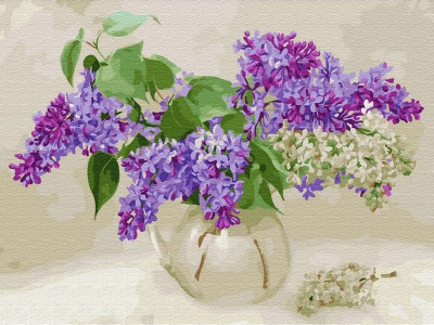 Картина по номерам с цветной схемой на холсте 30х40 Бузин. Ветка сирени (23 цвета)