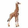 Фигурка Schleich Детеныш жирафа