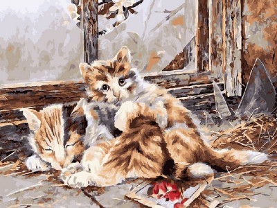 Картина по номерам 40х50 На чердаке (24 цвета)