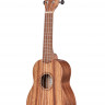 Укулеле-сопрано KALA KA-TEAK-S корпус - тик, цвет - натуральный
