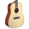JAMES NELIGAN LIS-D акустическая гитара