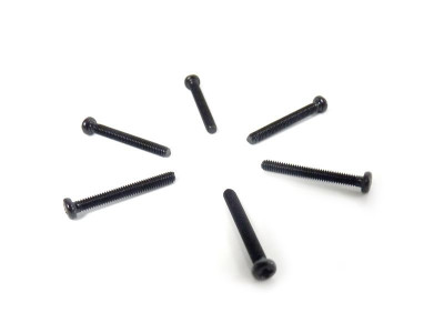 Винт с полукруглой головкой M2.5x20 под крестовую отвёртку 6шт.