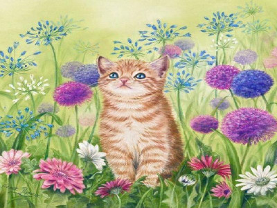 Набор юного художника 20х30 ЛЕТНИЙ ДЕНЬ  (18 цветов)