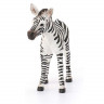 Фигурка Schleich Жеребенок зебры