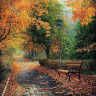 Картина по номерам 30х30 В осеннем парке (17 цветов)