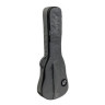 Чехол для электрогитары RITTER RGC3-E/EGR "CAROUGE" защитное полужесткое уплотнение 23 мм