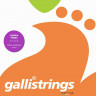 Комплект струн для домры GALLI STRINGS FG017 .012 .016 .023w (D/A/E)