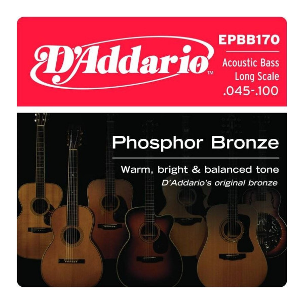 Струны для бас-гитары D'ADDARIO EPBB170 45-100