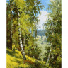 Картина по номерам 40х50 ПРИЩЕПА. БЕРЕЗЫ В ЛЕСУ. (26 цветов)