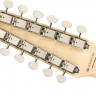 FENDER ELECTRIC XII PF 3TSB 12-струнная электрогитара с чехлом