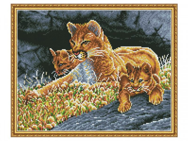 Алмазная мозаика с нанесенной рамкой 40х50 УРОК НАБЛЮДАТЕЛЬНОСТИ (19 цветов)