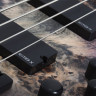 SCHECTER RIOT-5 ARB 5-струнная бас-гитара